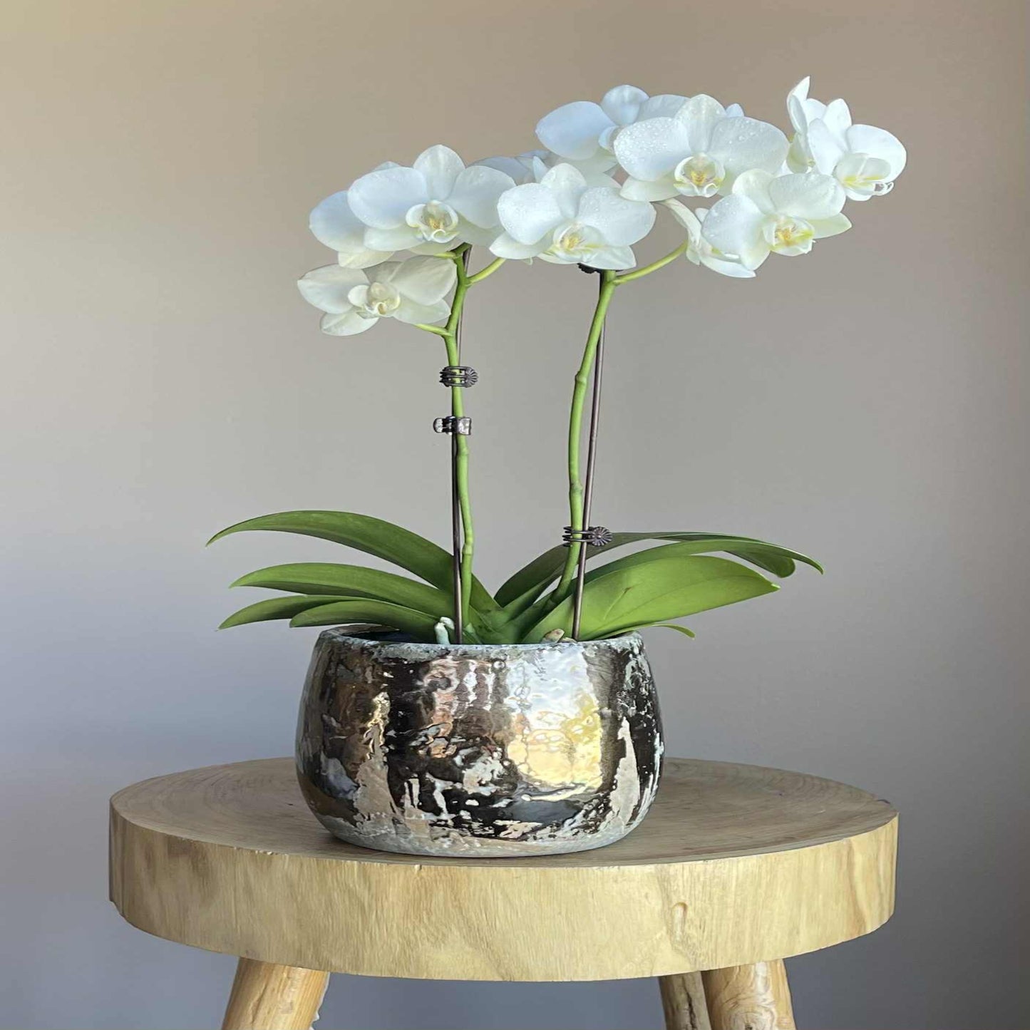 Florist Palm Beach, Florist Burleigh Heads, Flower delivery Palm Beach, Flower delivery Gold Coast