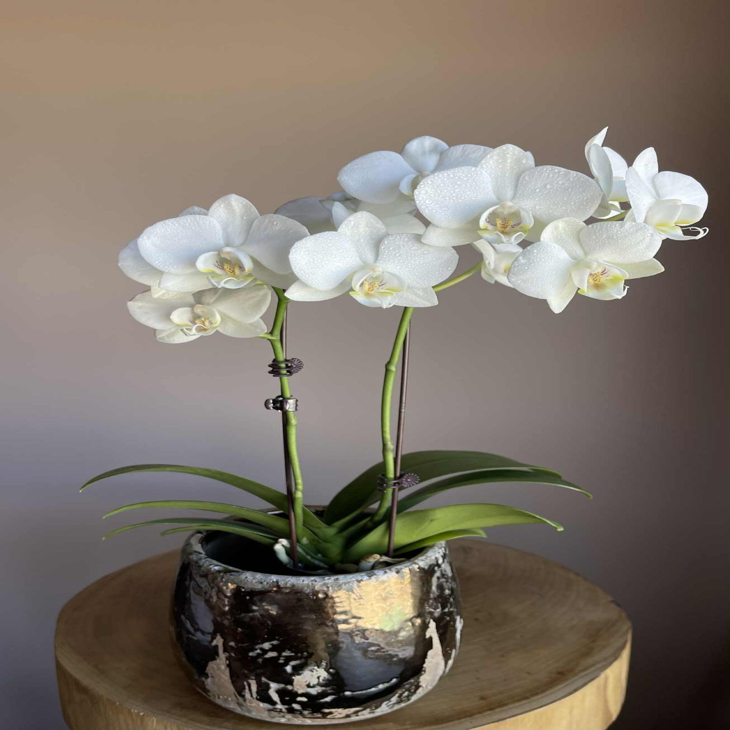 Florist Currumbin, Florist Tugun, Florist Palm Beach, Flower delivery Elanora