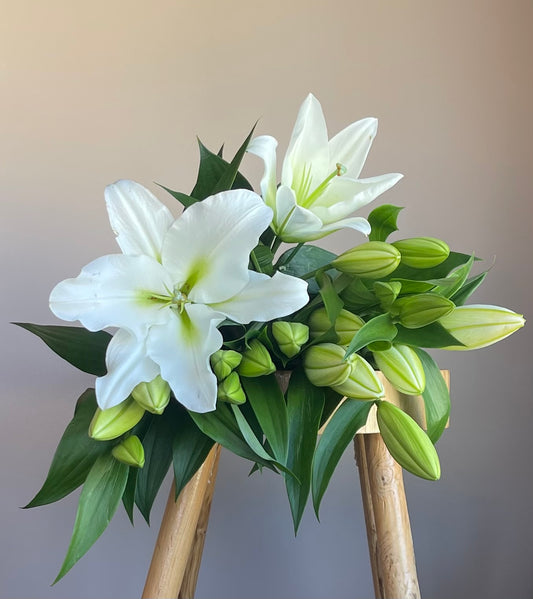 Oriental Lilies