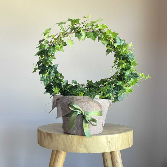 Florist Elanora, FLower delivery Elanora, FLower delivery Palm Beach, Florist Gold Coast